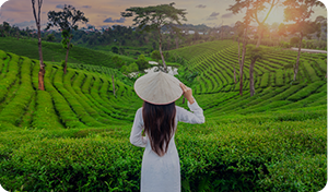 베트남 로밍상품, 요금 확인하기